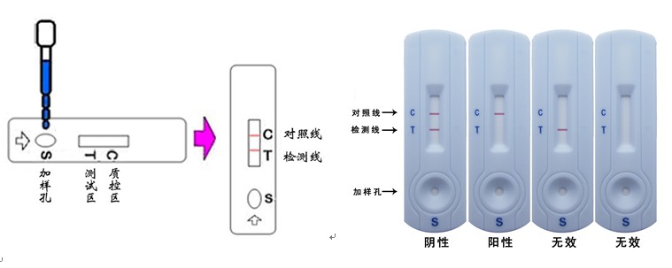 图片丢失